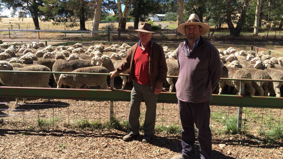 Graham and Roy Robertson, "Lynlea", Bookham, with their winning draft of Merino ewes.