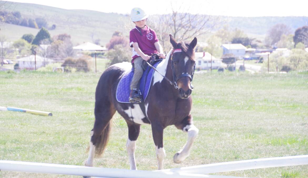 Delegate Pony Club rider Dustin Voveris tackles the course at Delegate on Sunday.