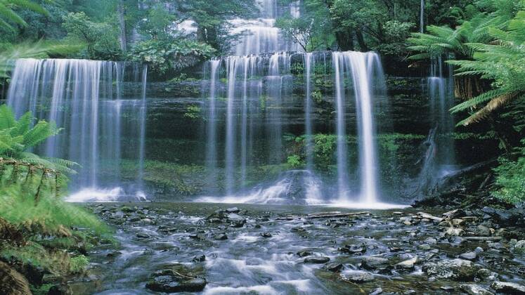 The gorgeous Russell Falls is very accessible. Russell_Falls Photo: RUPE@theage.com.au