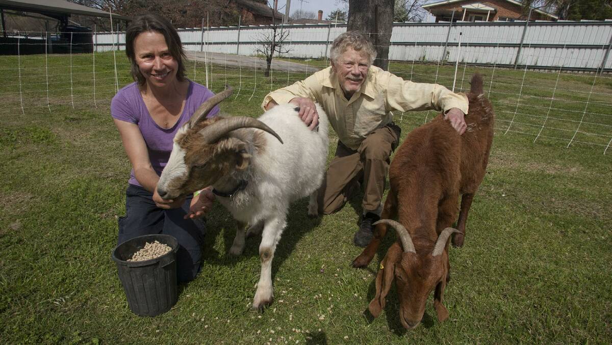 Elisabeth Larsen and Dr Jim Shields with the Herds-For-Hire goats at the 2015 SCPA South Coast Fields Days event. Photo: Peter Smith