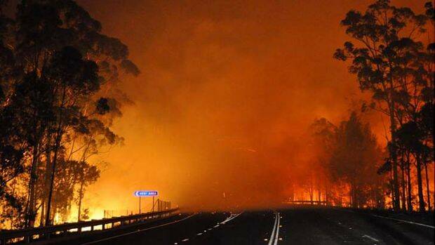 Shoalhaven bushfire danger period starts September 1​