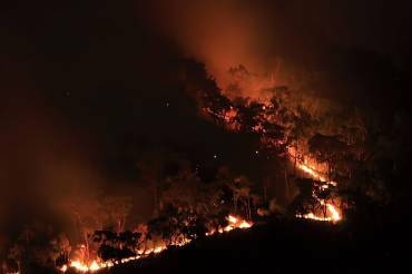 Bushfire mitigation funding