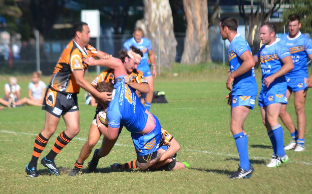 Bombala First Grade Blue Heeler Adam Rodwell getting tackled by the Bay Tigers, backed up by Malcolm Stone, Paul Perkins and Luke Ingram. 