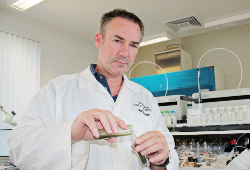 NSW Department of Primary Industries analytical chemist, Richard Meyer, says feed quality testing of nitrate levels in hay and silage from failed crops is critical for producers so they can manage feeding and avoid stock losses.
