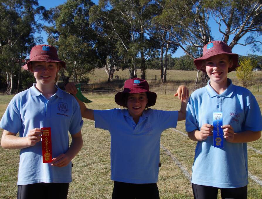 Bombala Public School held their Athletics Day recently. Students Jessica Vincent, Anna Spoljaric and Briony Brotherton show their race ribbons.