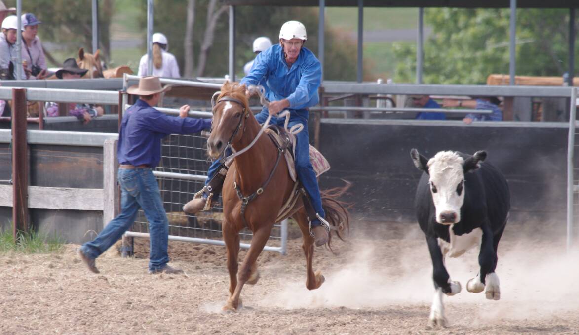 DELEGATE CAMPDRAFT: Ron Flanagan riding Thunder quickly heads of the steer during competition at the Delegate Campdraft.