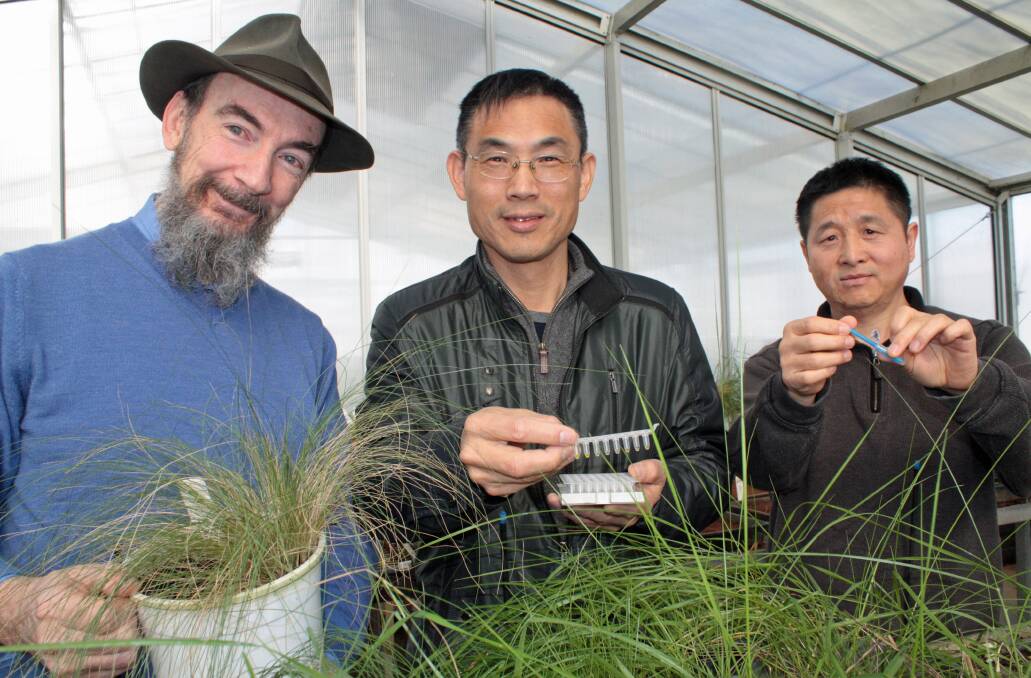 (DPI) scientists, David Gopurenko, Aisuo Wang and Hanwen Wu, have developed a field kit which uses LAMP technology to identify serrated tussock and Chilean needle grass in the field.