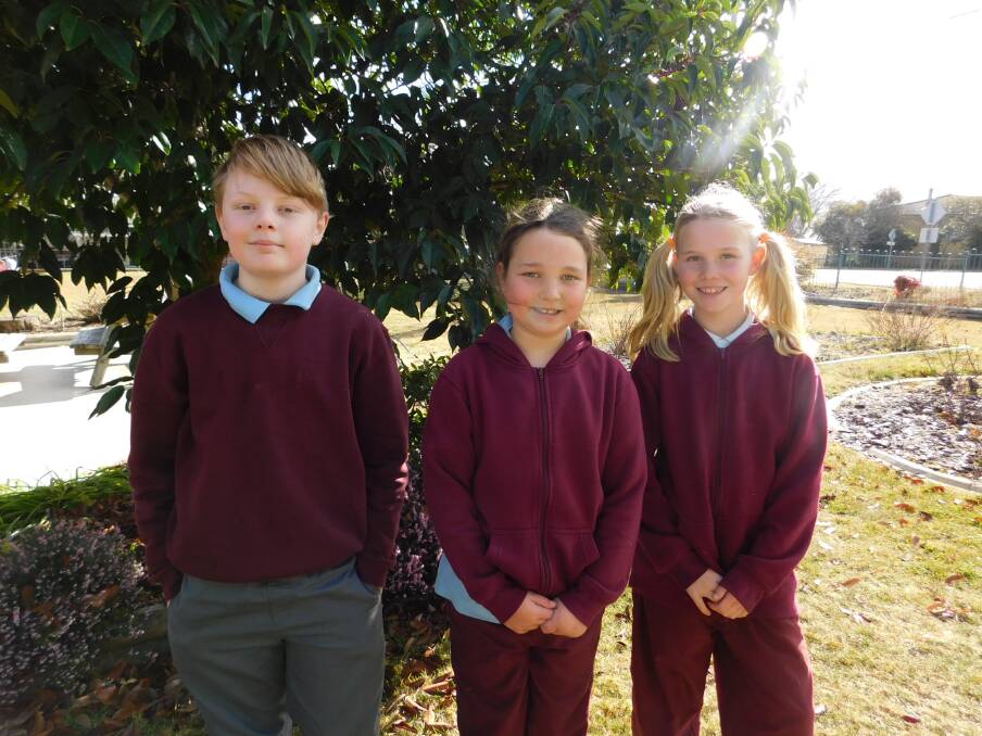 WELL DONE: Bombala Public School students Brendan Talbot, Mistin Kidman and Natalie Vincent have been commended for achieving awards in the ICAS exams.