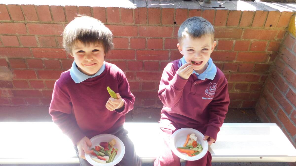 Crunching and munching on their healthy vegie and fruit snacks are Hunter Waterson at Jack Martin of Bombala Public School.