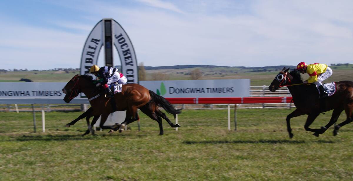 Patagonia Bell winning the Bombala Cup in a tight finish with second placed Malizia and third placed Joseph Jones Racing trained Chasing Charlie.