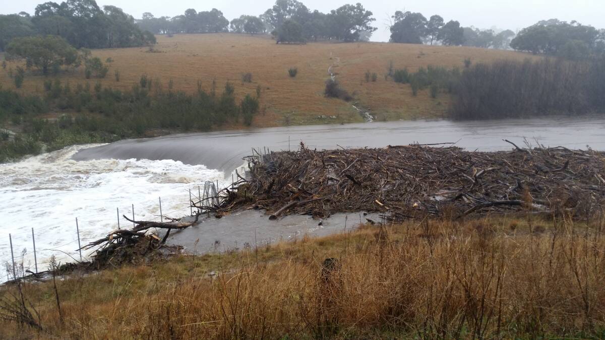 WEIR WORKS: Debris built up on the Coolumbooka (Bombala) Weir during the floods. Works will start on Monday, June 27 to clear debris and assess damage.
