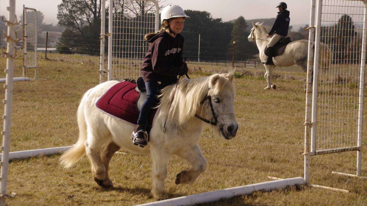 The itsy-bitsy duo of Lydia Jamieson riding her Shetland pony Bart over the jumps at the Delegate Pony Club rally last Sunday.