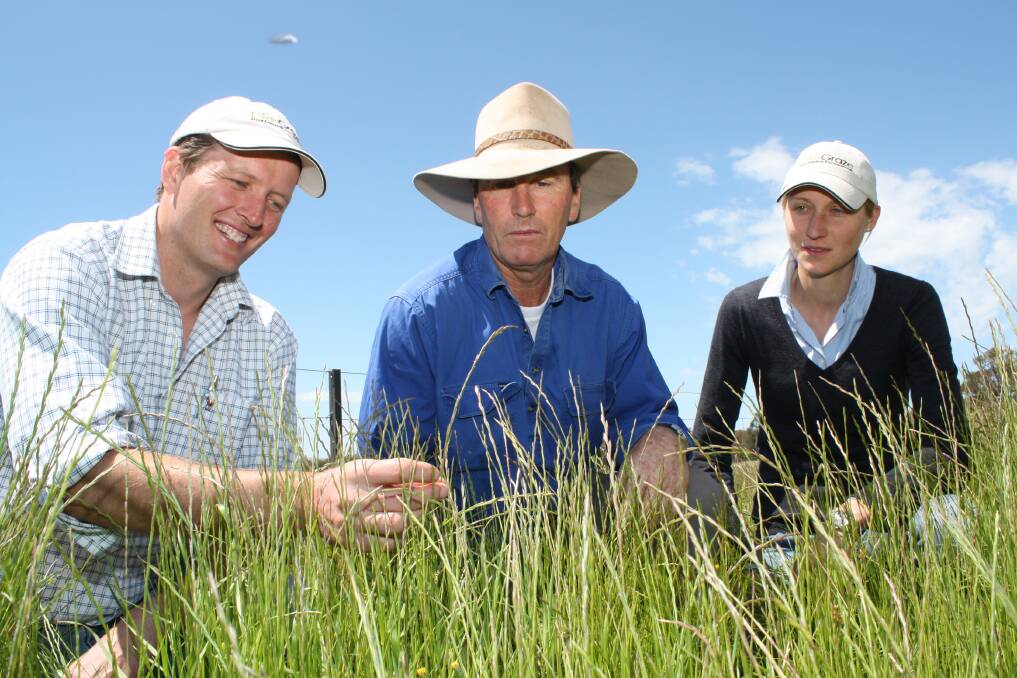 NSW Department of Primary Industries researcher Dr Warwick Badgery inspects the  EverGraze research trial with grazier and trial advisory panel member Johns Rowlands and former NSW DPI researcher Dr Felicity Cox.
