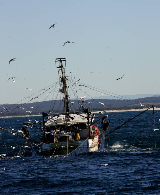 Birds beware: Seabirds are attracted to the fish and the lines of fishing trawlers.