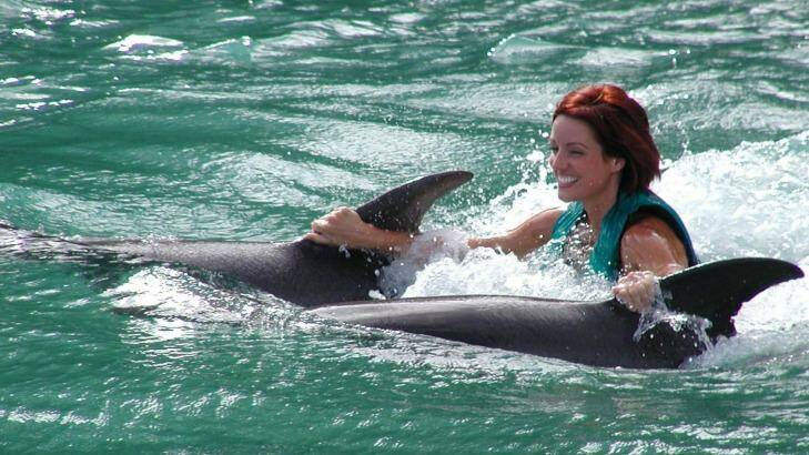 At Dolphin Cove you can swim with dolphins. Photo: Dolphin Cove