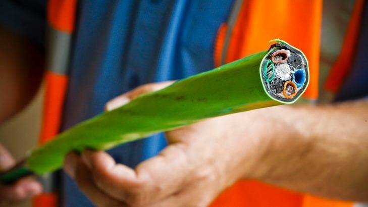 Techdrill is said to have been 'squeezed' after hiring staff and subcontractors for NBN work that never materialised. Photo: Glenn Hunt