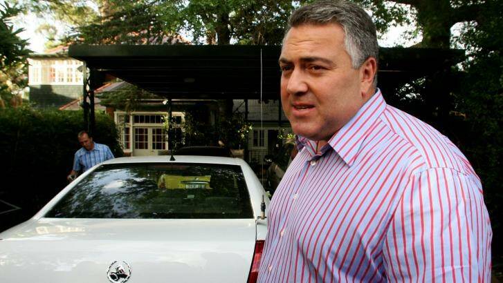 Joe Hockey argued the release of his hire car details could put him at risk.  Photo: Domino Postiglione