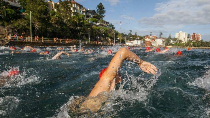A wave of swimmers competing in the 1km division of  the 2016 Cole Classic head to the finish at Manly Beach.  Photo: Dallas Kilponen