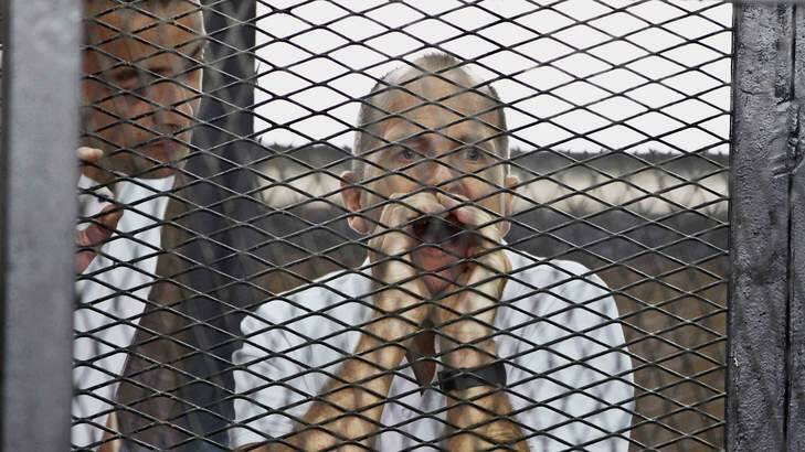 Greste appears in a defendant's cage along with several other defendants during their trial on, May 15, 2014. Photo: Reuters