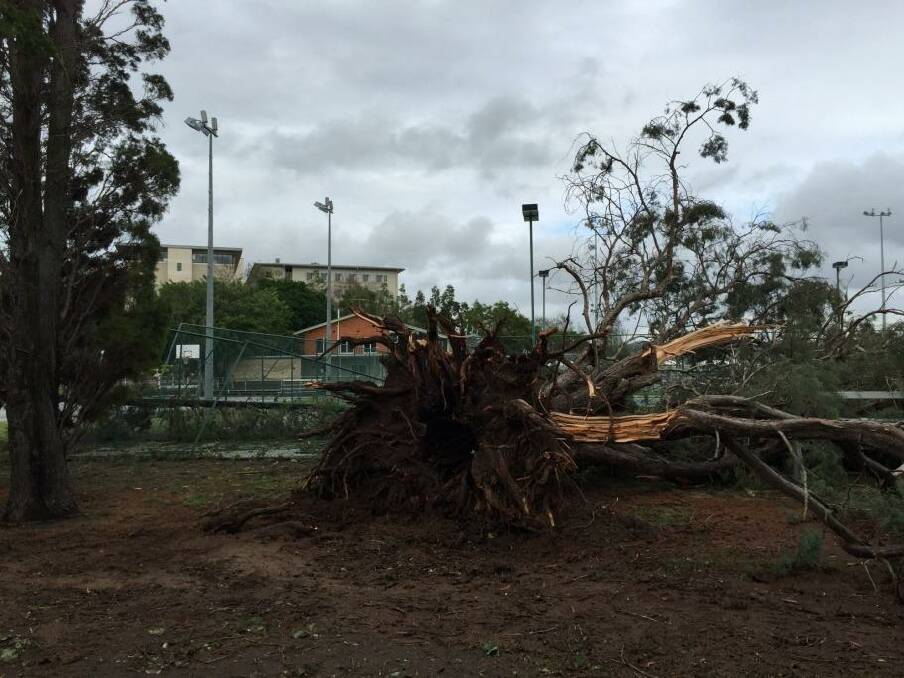 UQ suffered heavily in the storm of November 27. Photo: Ashley Parker