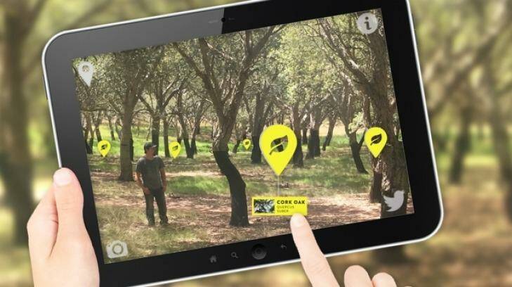 The ARboretum app, developed by APositive, brings the National Arboretum's cork oak forest to life with soundscapes from the trees' native country. Photo: Sharon Philips