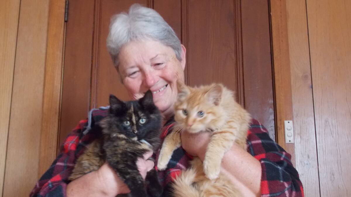 Heather Brown with two rescue cats ready to be rehomed.