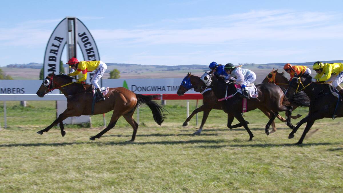 Joseph and Jones’ Back to Zero won the Dongwha Timers Bombala Cup for a second time in 2013 and is returning later this month in an attempt to make it back to back wins.