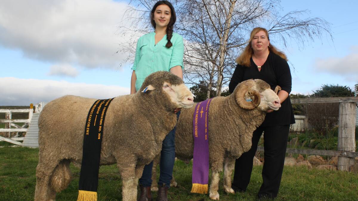 Jackie Chapman and her mother Laura Chapman of Hinesville and West Plains with two winners at Campbelltown show in Tasmania;  Supreme March Shorn Ram and Supreme Medium Wool Exhibit. 