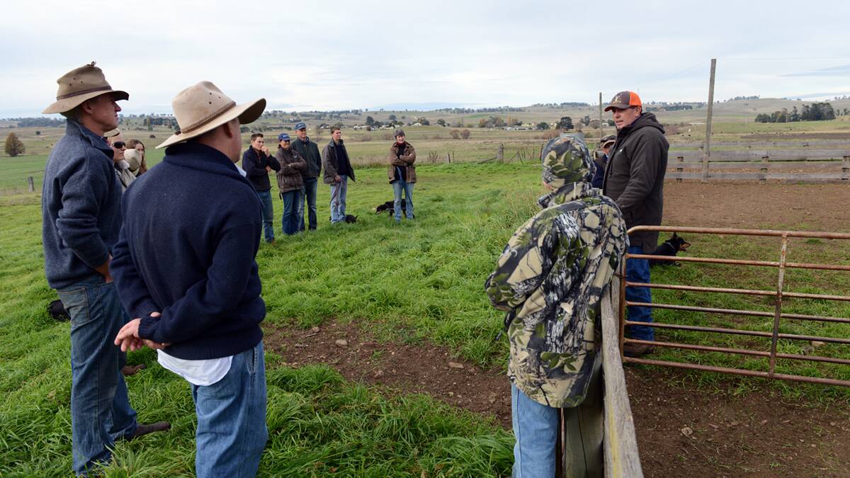 Participants at the Monaro working dog workshop. (Inset) A producer’s top farm hand.
