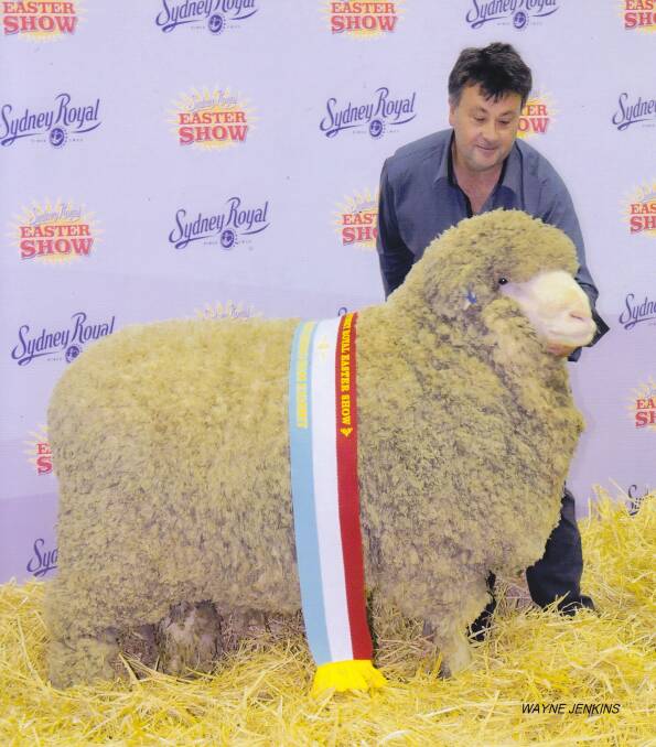 Drew Chapman of Hinesville West Plains Merino Stud with West Plains Mercenary, the first poll ram ever to be named Supreme Merino Exhibit of the Sydney Royal Show.