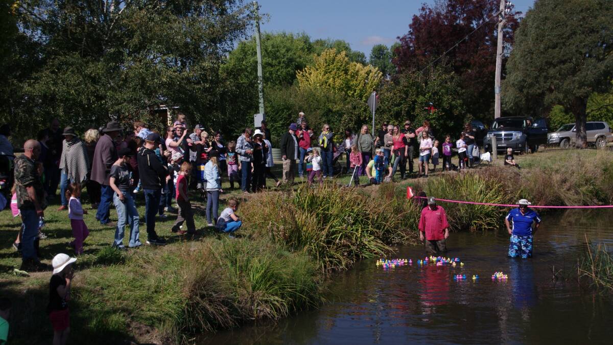 A big crowd watched 109 runners race to the finish line in the Delegate Duck Race, with Shelley Dunn’s duck taking the honours. 
 