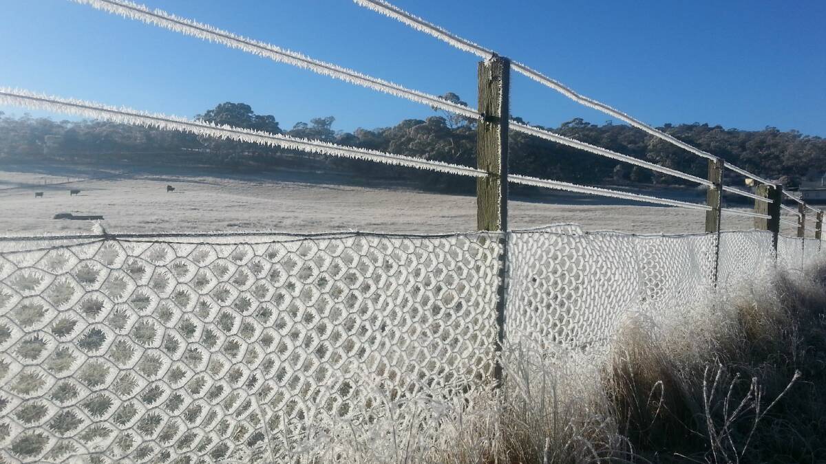 Severe frosts hit area