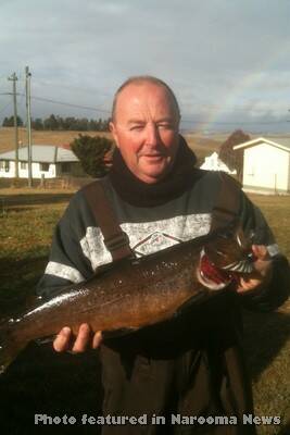 BROWN TROUT: John Scott, Narooma Sport and Game Fishing Club member, who caught this nice 2.55kg brown trout, fishing in the snow at the Eucumbene River last Friday morning. The fish took a Rapala lure and was one of many caught on a great trip to the mountains.