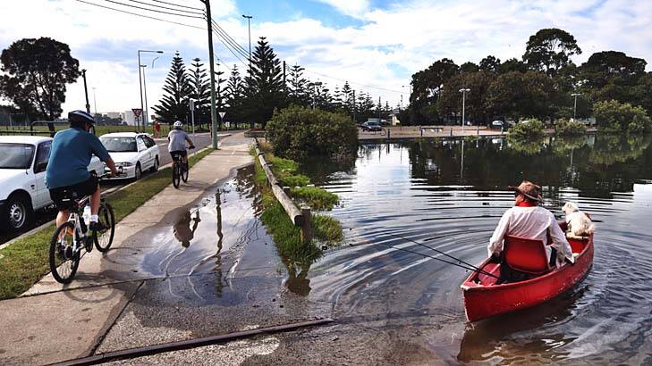 King Tide: The tide causes mild flooding Holbeach Avenue in Tempe. Photo: Nick Moir