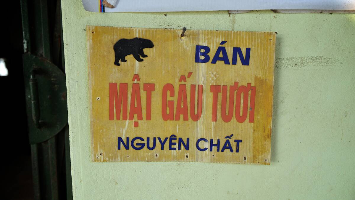 Sign in a Hanoi roadside store advertising bile for sale. Photo: BRENDAN McCARTHY/BENDIGO ADVERTISER