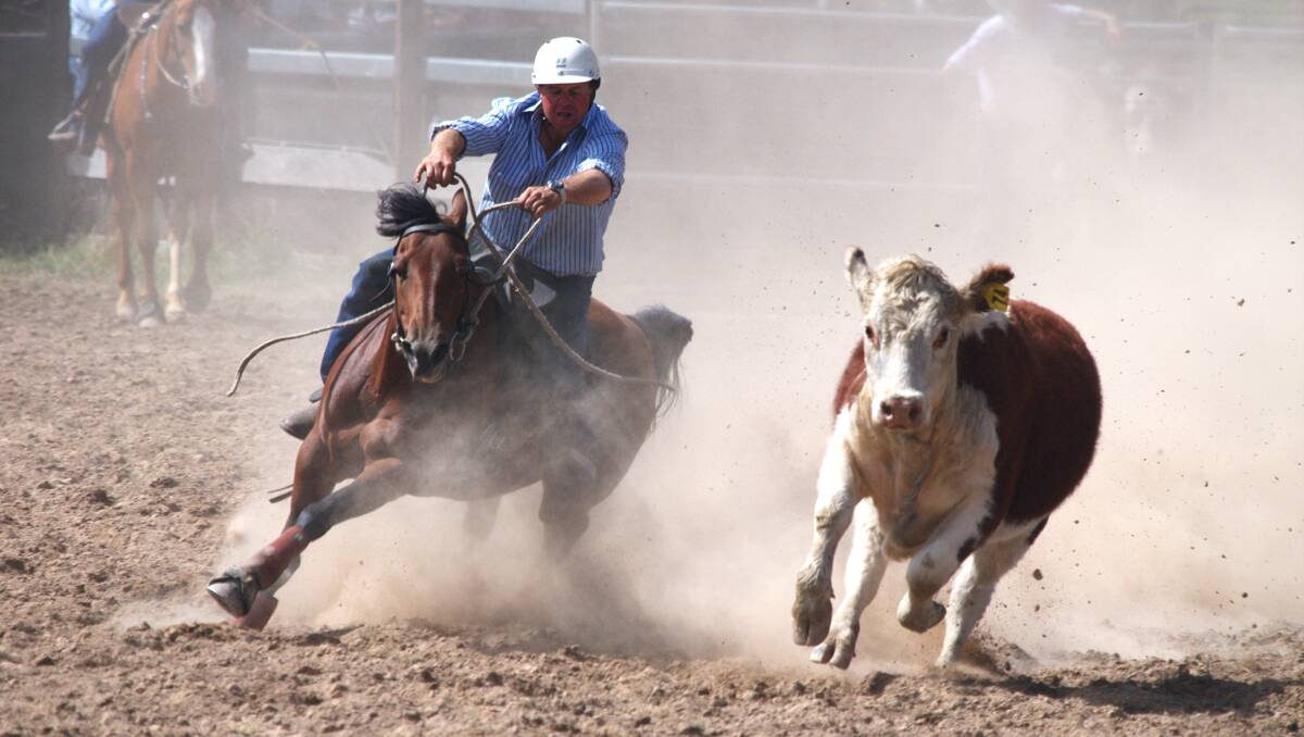 Dave Merritt from Bibbenluke competed in the maiden draft finals at the Delegate Campdraft