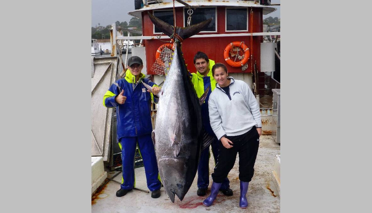 THE BIG ONE: Narooma sibling fishers Ryan, Todd and Hayley Abbott with the big one – a 160kg bluefin caught 160km out from Batemans Bay and that fetched $16,000 at Tokyo. 