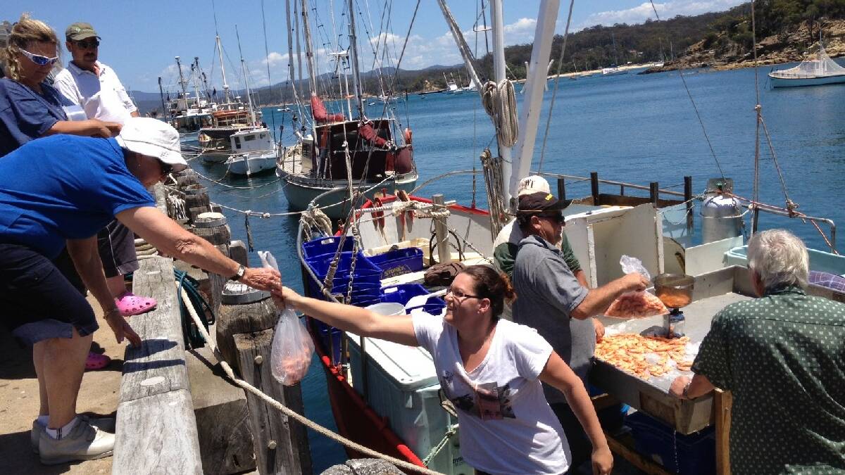 EDEN: When the prawns are ‘on’ in Twofold Bay make sure you buy some direct from the boats at Snug Cove. It just doesn’t get any fresher!