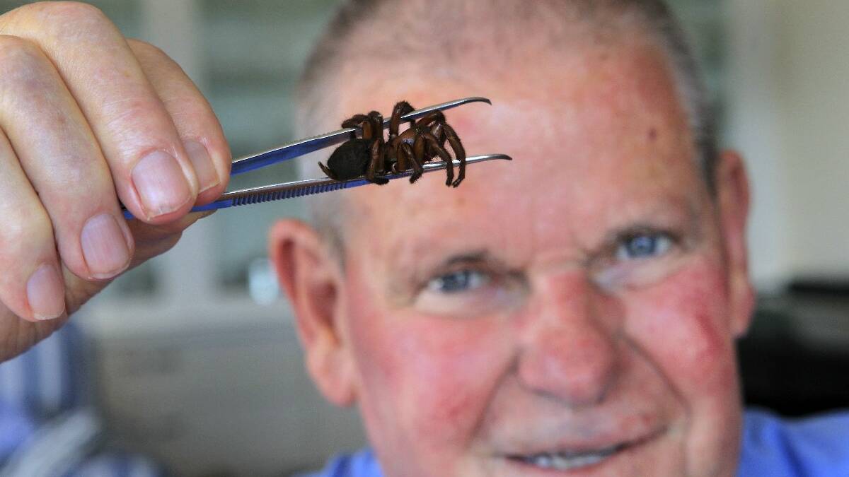  ULLADULLA:  South Coast arachnologist Graham Wishart warns residents it is breeding season for the notorious funnel-web spider. 