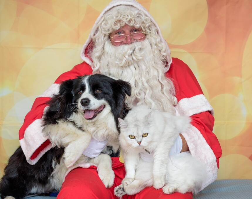 Santa with Roxy and Velma