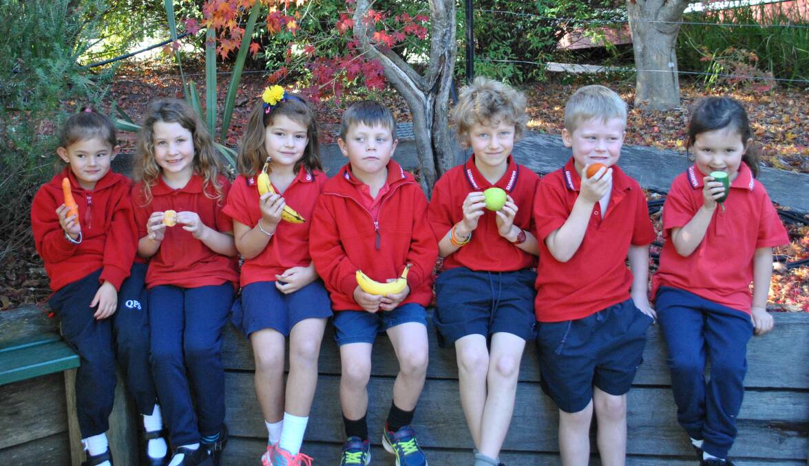 Quaama pupils munch on fruit and vegies during the 2017 Big Vegie Crunch. It's hoped the NSW record of simultaneous schoolchildren vegie snacking will be broken this month.