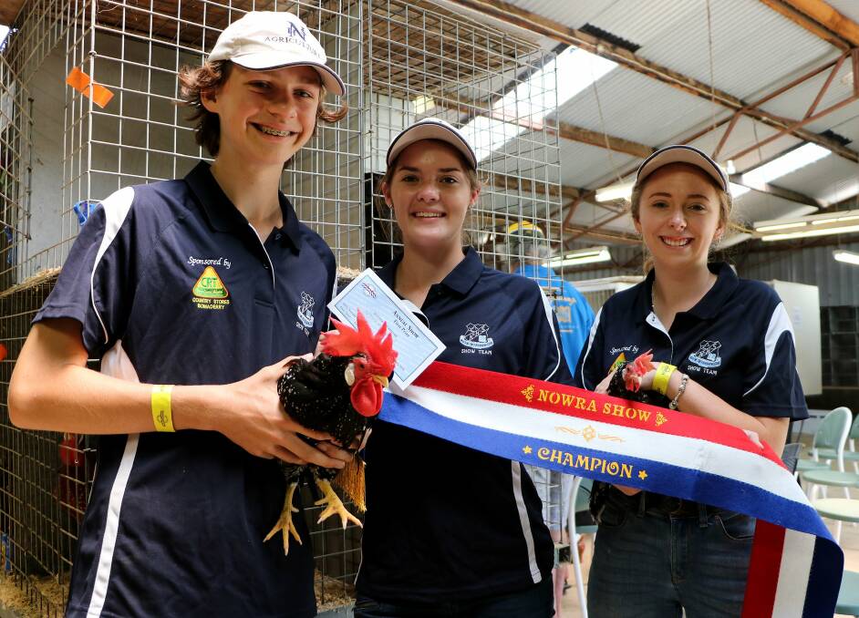 Winners: Nowra High School's champion pair of Ancona bantams at last year's Nowra Show. Image: Nowra Poultry Club 