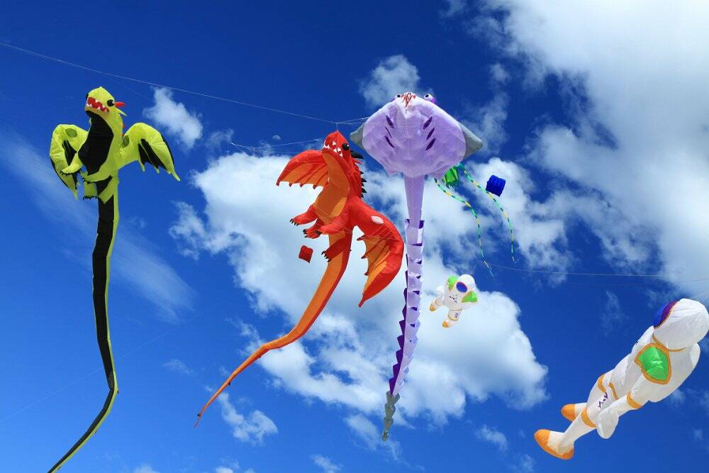 COLOURFUL SKIES: Keep your eyes open for the Australian Kite Flying Society's Kite display at the Eden Whale Festival over the weekend of November 1-3.