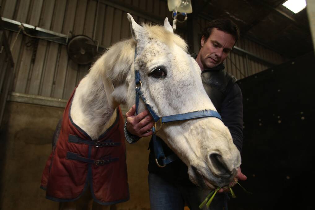ADORED: 1992 Melbourne Cup winner Subzero being attended to by Bendigo Equine Hospital vet Mike Whiteford on Thursday. Picture: GLENN DANIELS