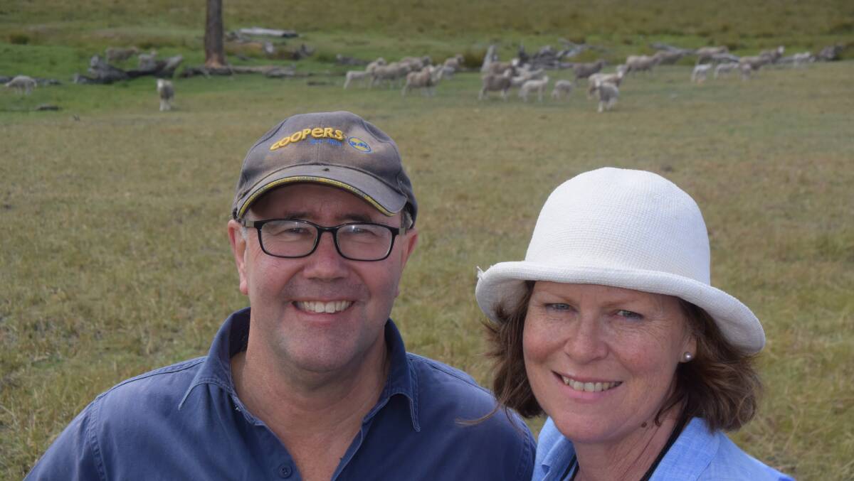Dan and Sara Calvert, "Kalgara" via Armidale have produced the right Italian-style wool without mulesing for the past decade and find a sensible approach to management has produced the right results.