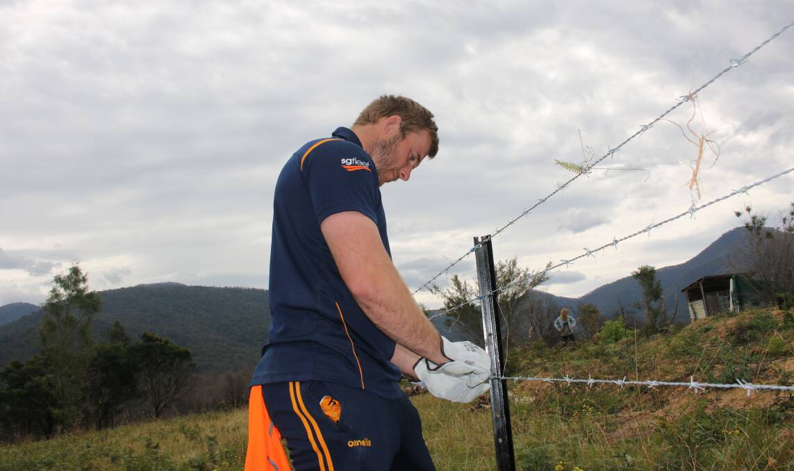 Will Miller ensures some barbed wire fencing is tightly bound to the post on Wednesday. 