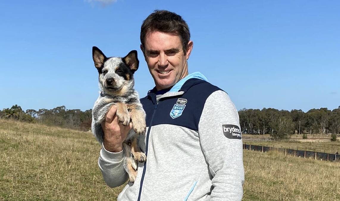 Adorable addition: NSW Blues mascot Bruce the blue heeler with team coach Brad Fitler. Picture: NSWRL. 
