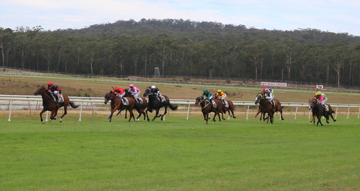 Holding the lead: Coolcat Dancer (left) holds sway by two lengths as the field approaches the line in the Bega Cheese Bega Cup on Sunday. 