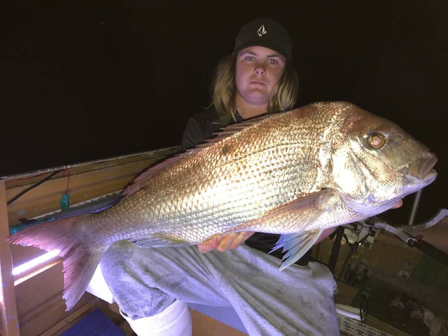 Photos of the massive snapper catch