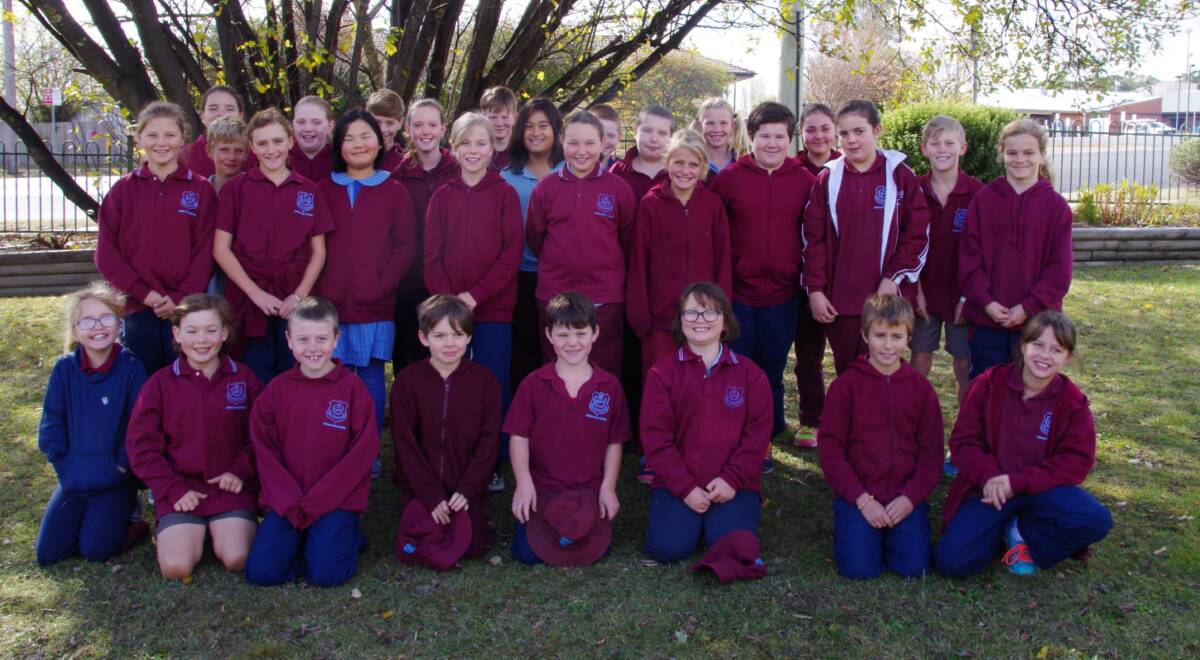 NAPLAN: Bombala Public School Year 3 and 5 students completed the National Assessment Program Literacy and Numeracy tests last week.